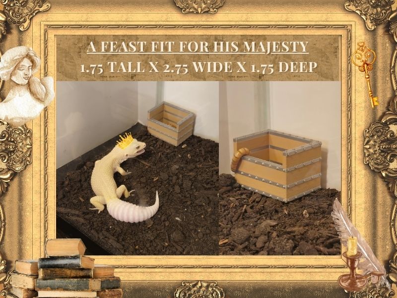 Medieval Castle Set