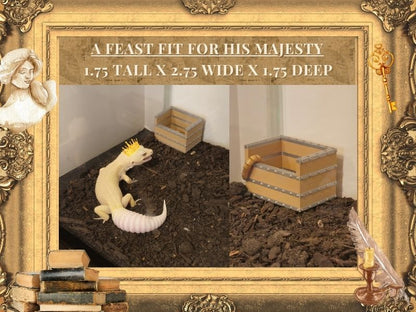 Medieval Castle Set