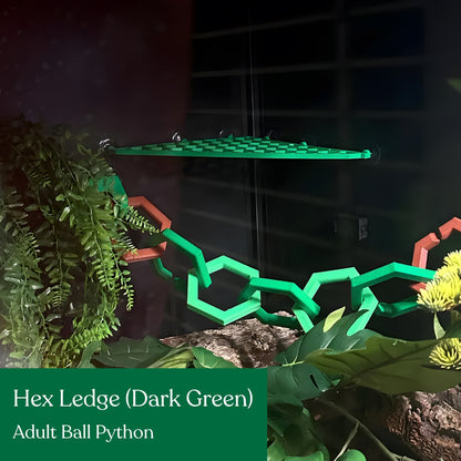 Hex Ledge – Corner Climbing Platform