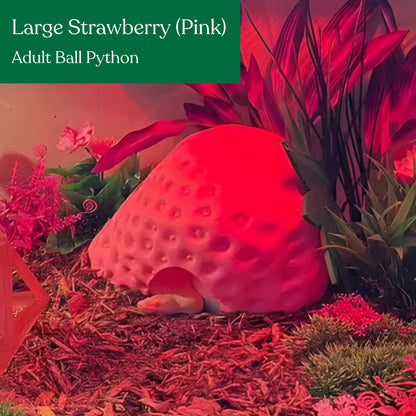 Strawberry Hide