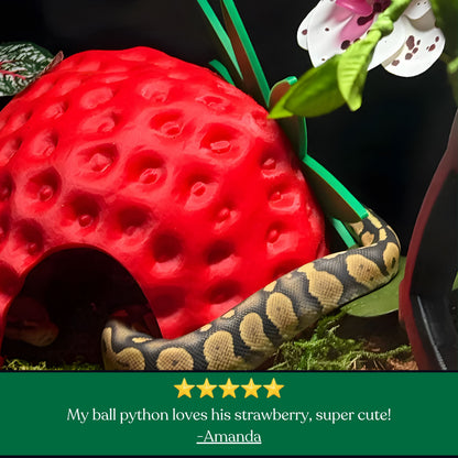 Strawberry Hide