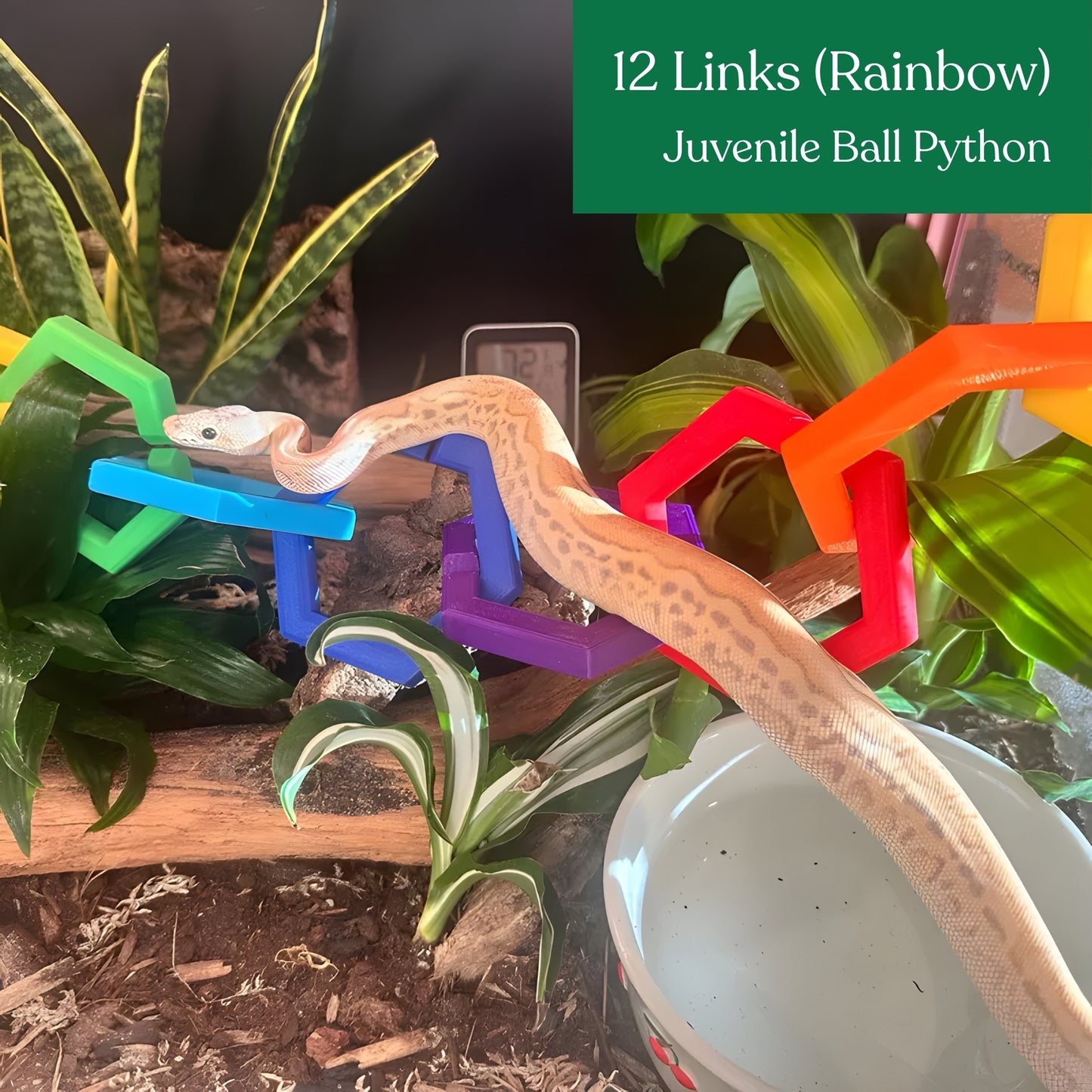 Hex Links