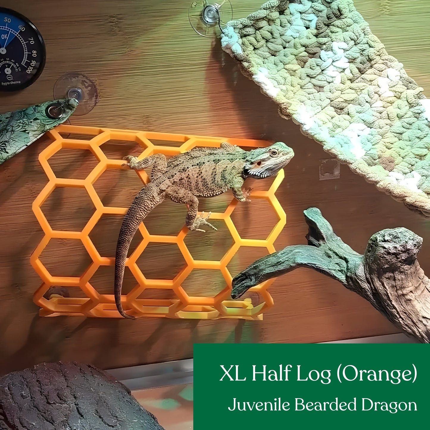 Half Hex Log