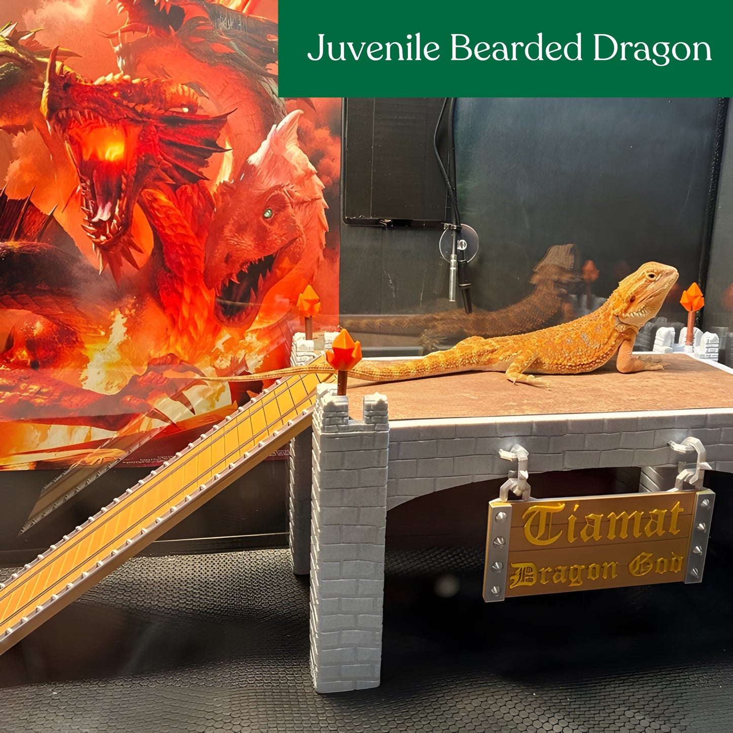 Custom Reptile Basking Castle with Removable Tile