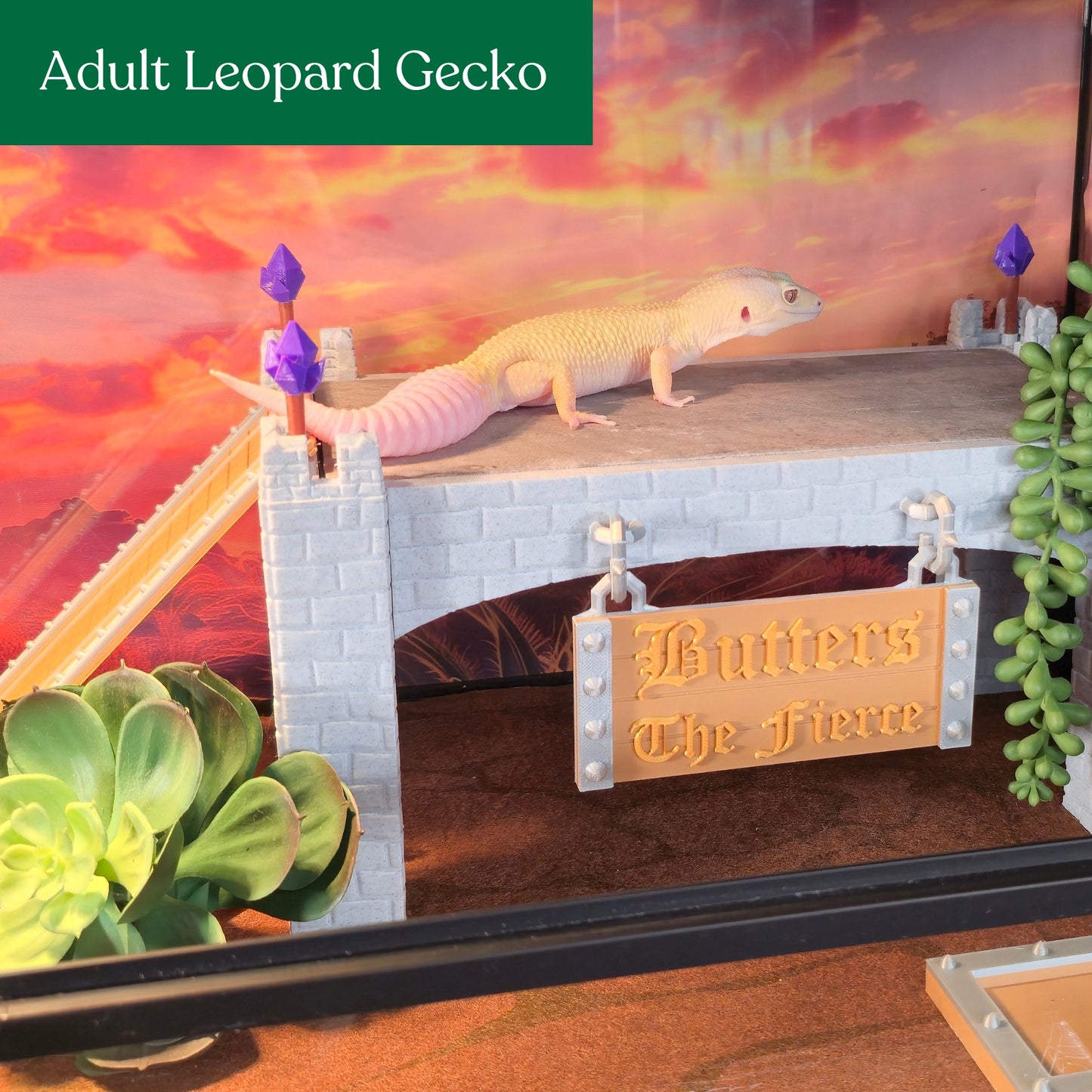Custom Reptile Basking Castle with Removable Tile