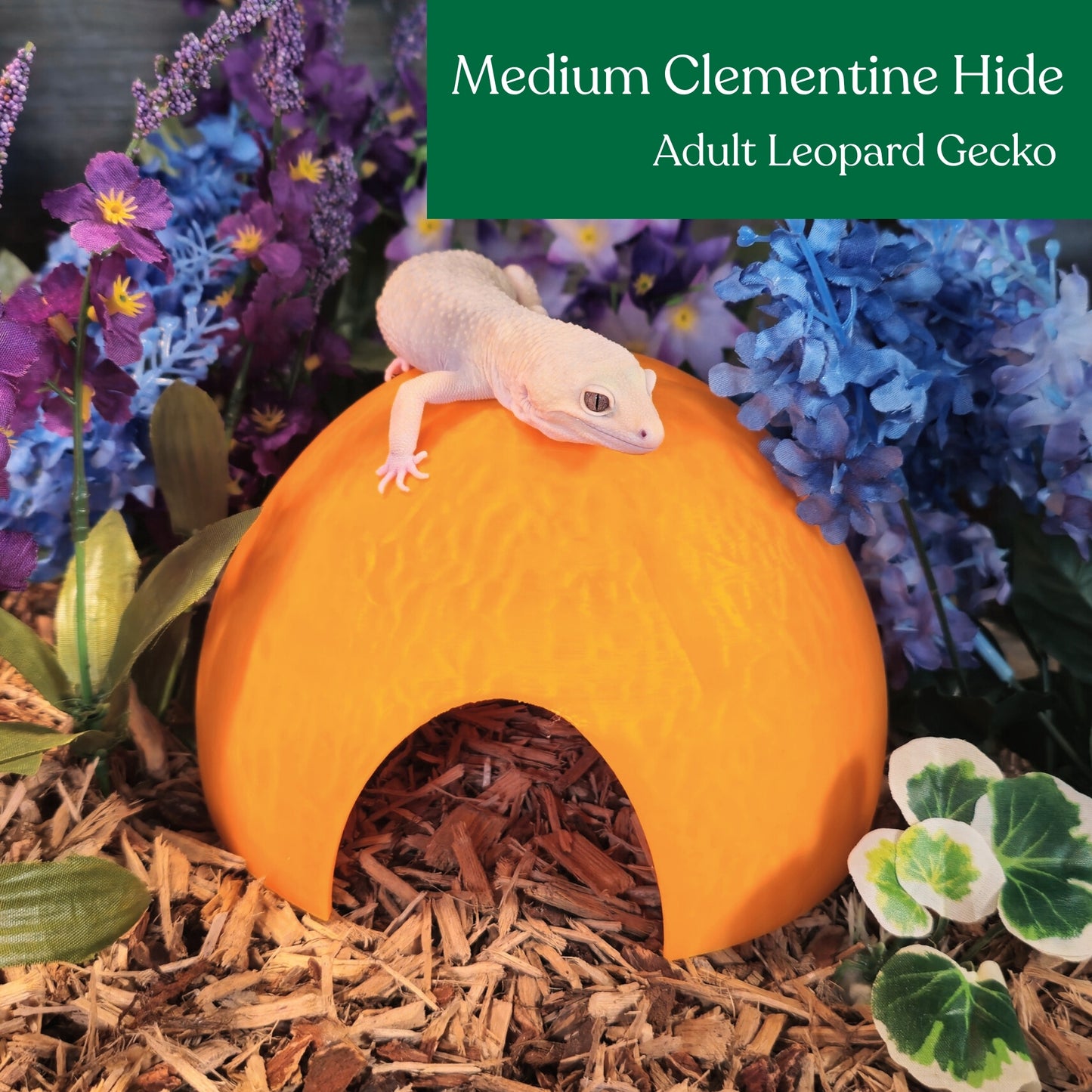 Clementine hide