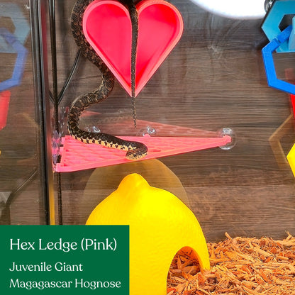 Hex Ledge – Corner Climbing Platform