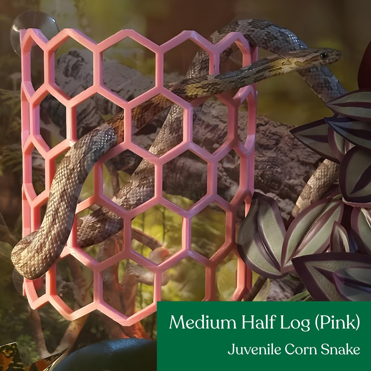Half Hex Log