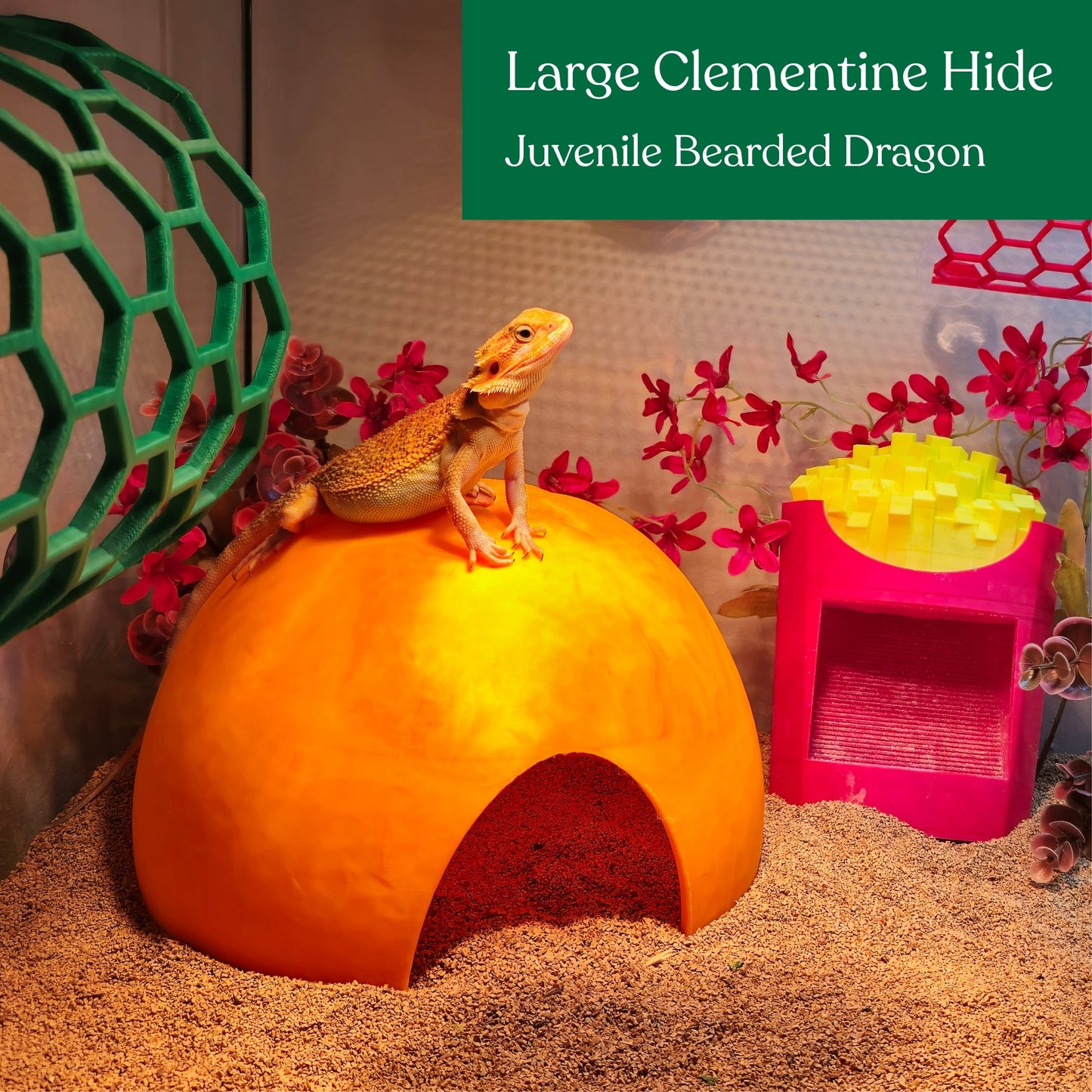 Clementine hide