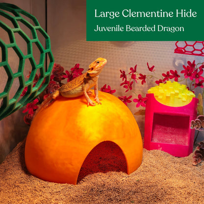Clementine hide