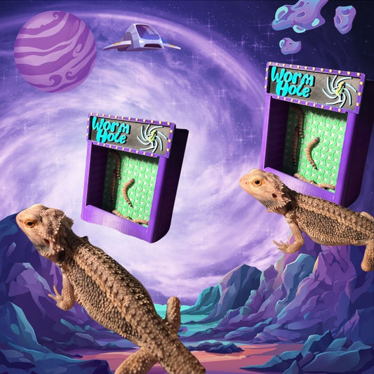 Worm Hole, Box Feeder, Unique, Reptile Feeder