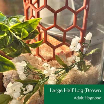 Half Hex Log