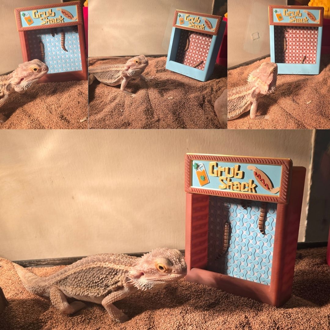 Grub Shack, Box Feeder,