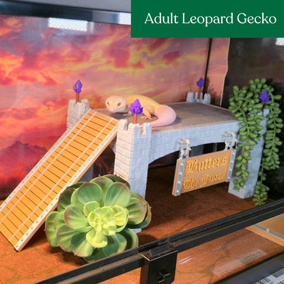 Custom Reptile Basking Castle with Removable Tile