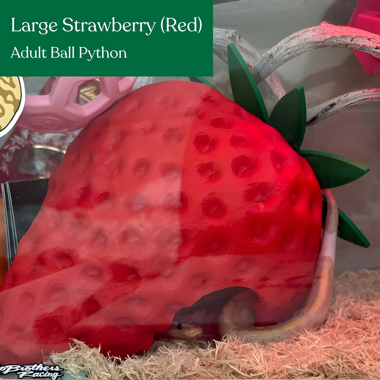 Strawberry Hide