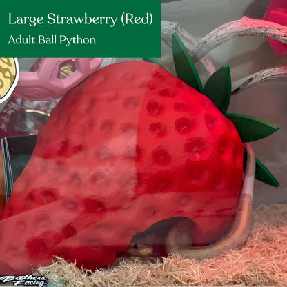 Strawberry Hide