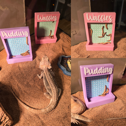 Pastel Feeder (Recessed)