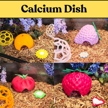 Calcium Dishes