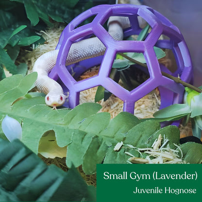 Hex Jungle Gym