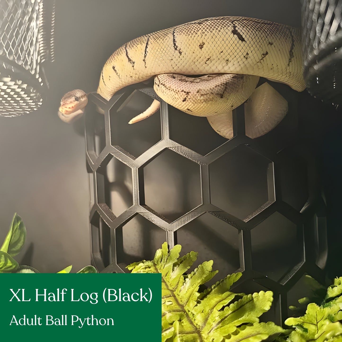 Half Hex Log