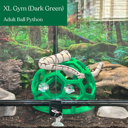 Hex Jungle Gym