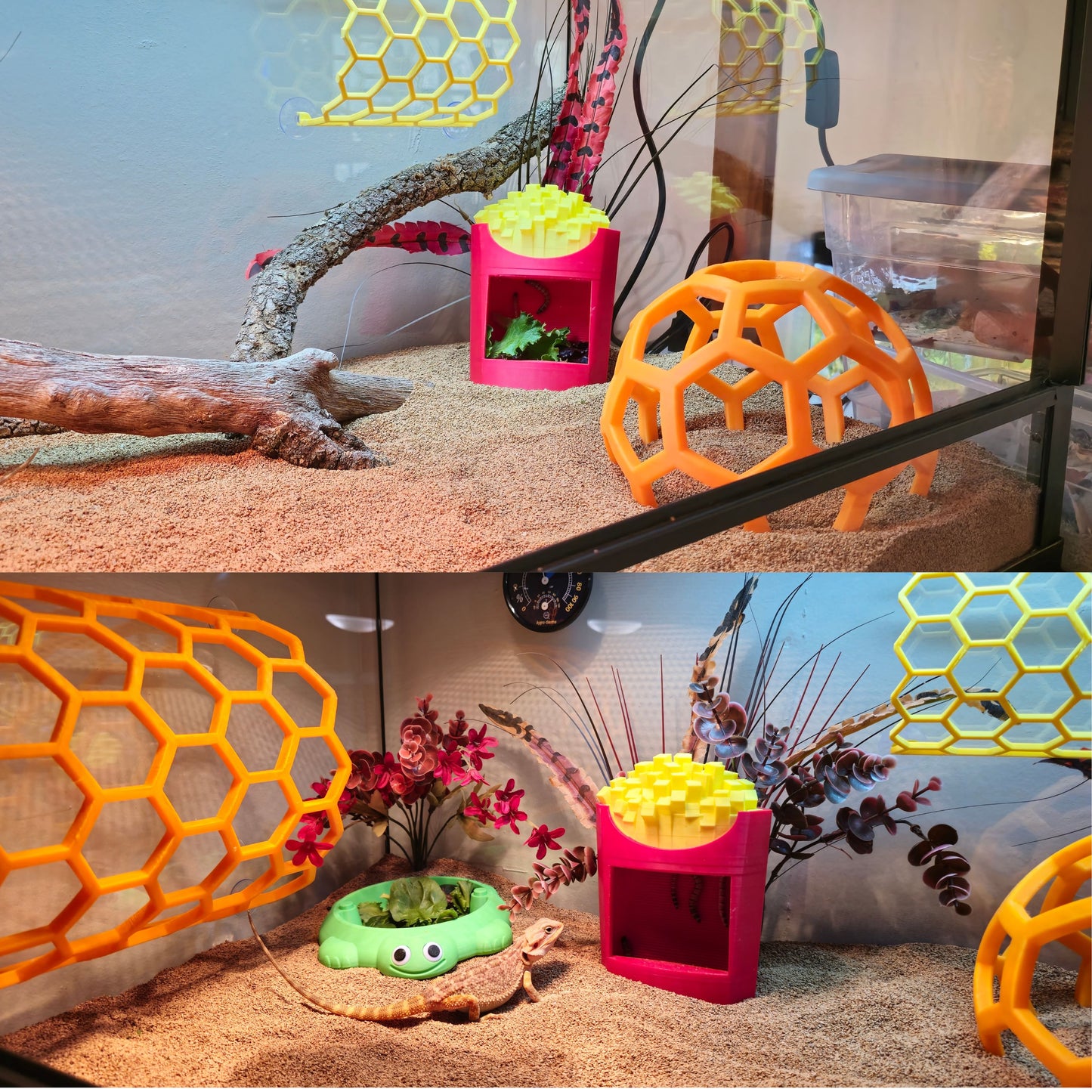 Fry Feeder & Calcium Duster!