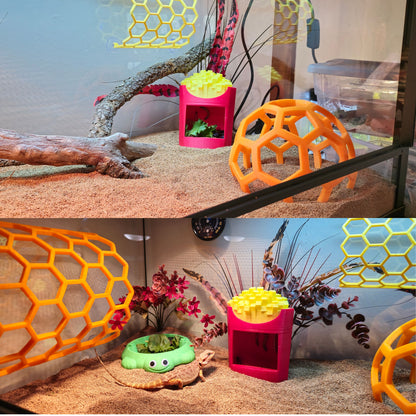 Fry Feeder & Calcium Duster!