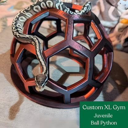 Snake Gym