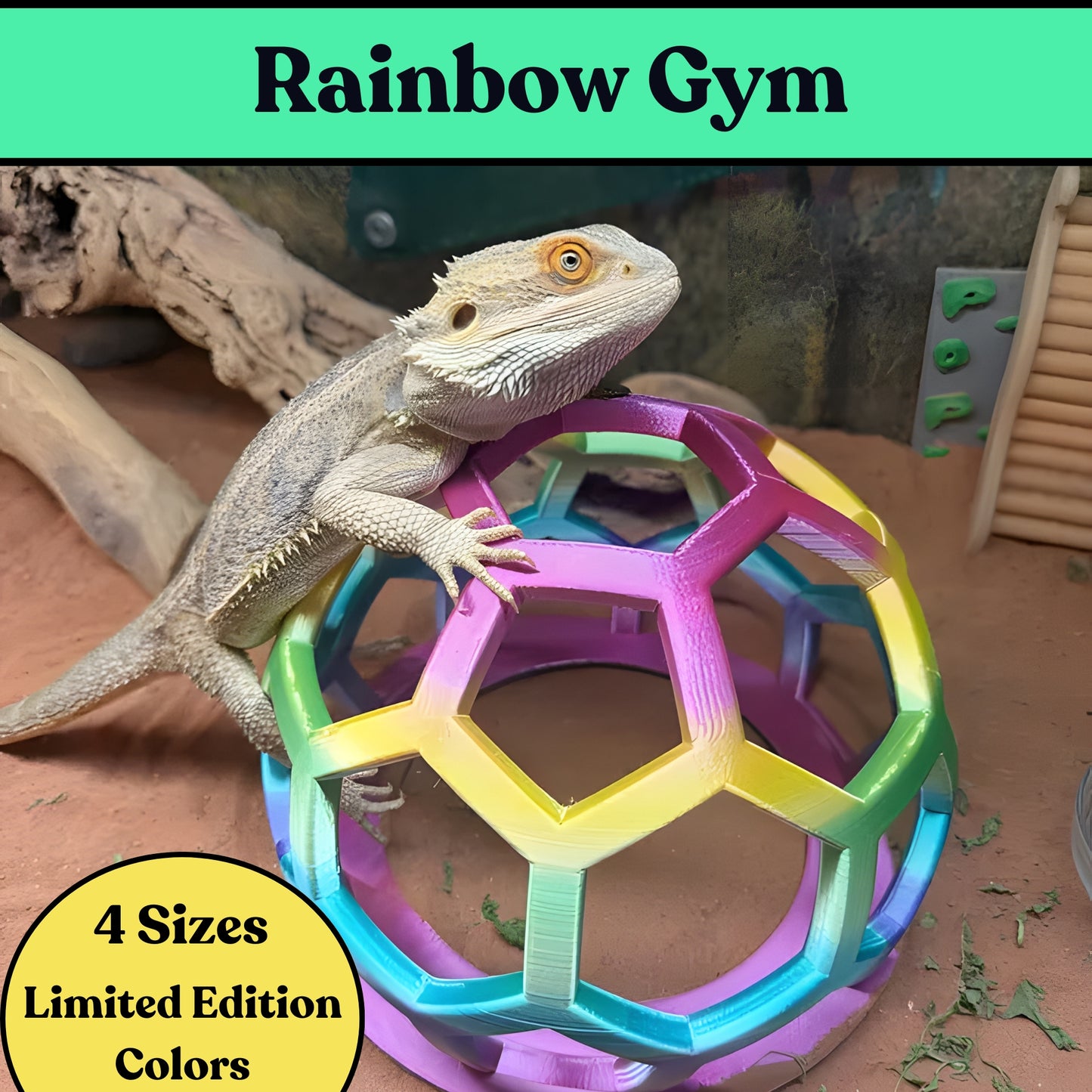 Rainbow Hex Jungle Gym