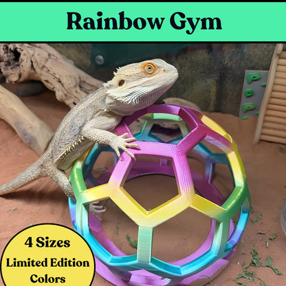Rainbow Hex Jungle Gym