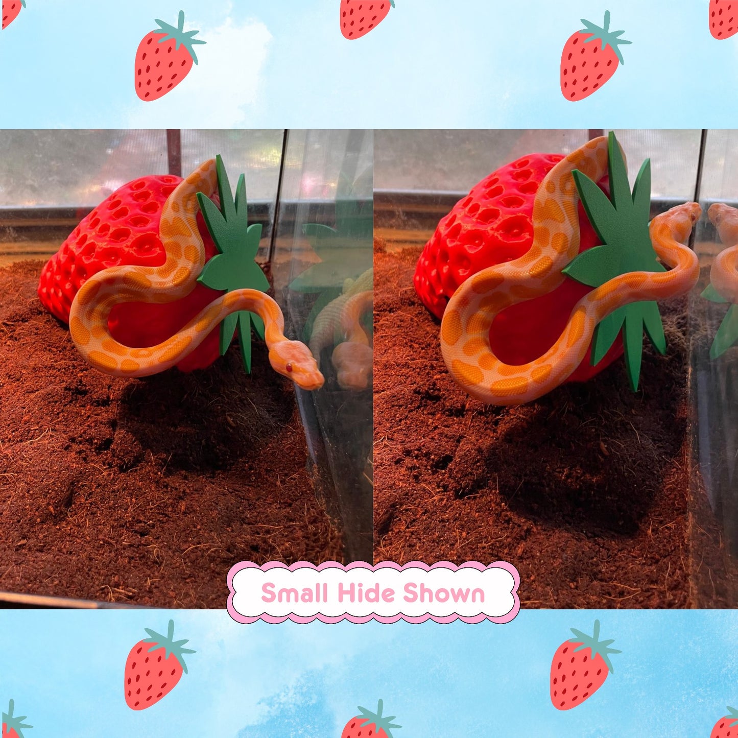 Strawberry Hide