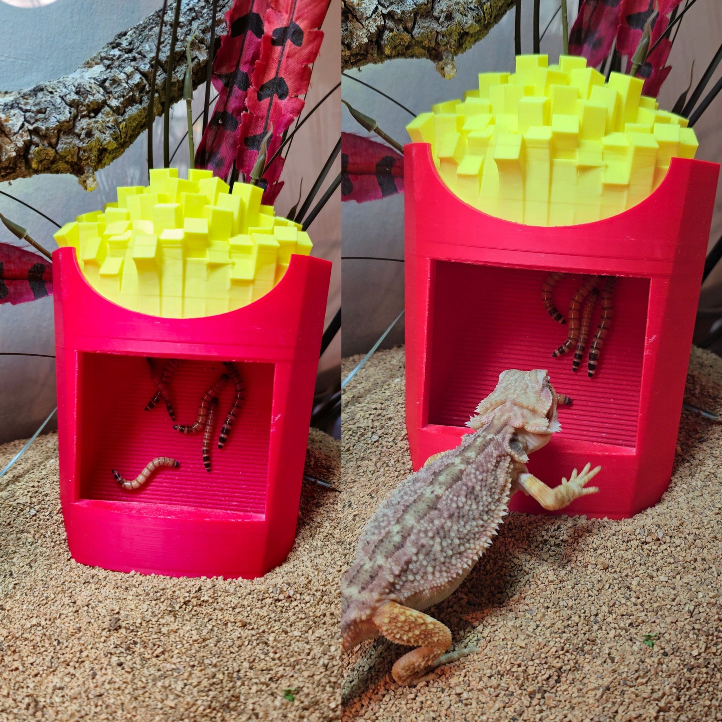 Fry Feeder & Calcium Duster!