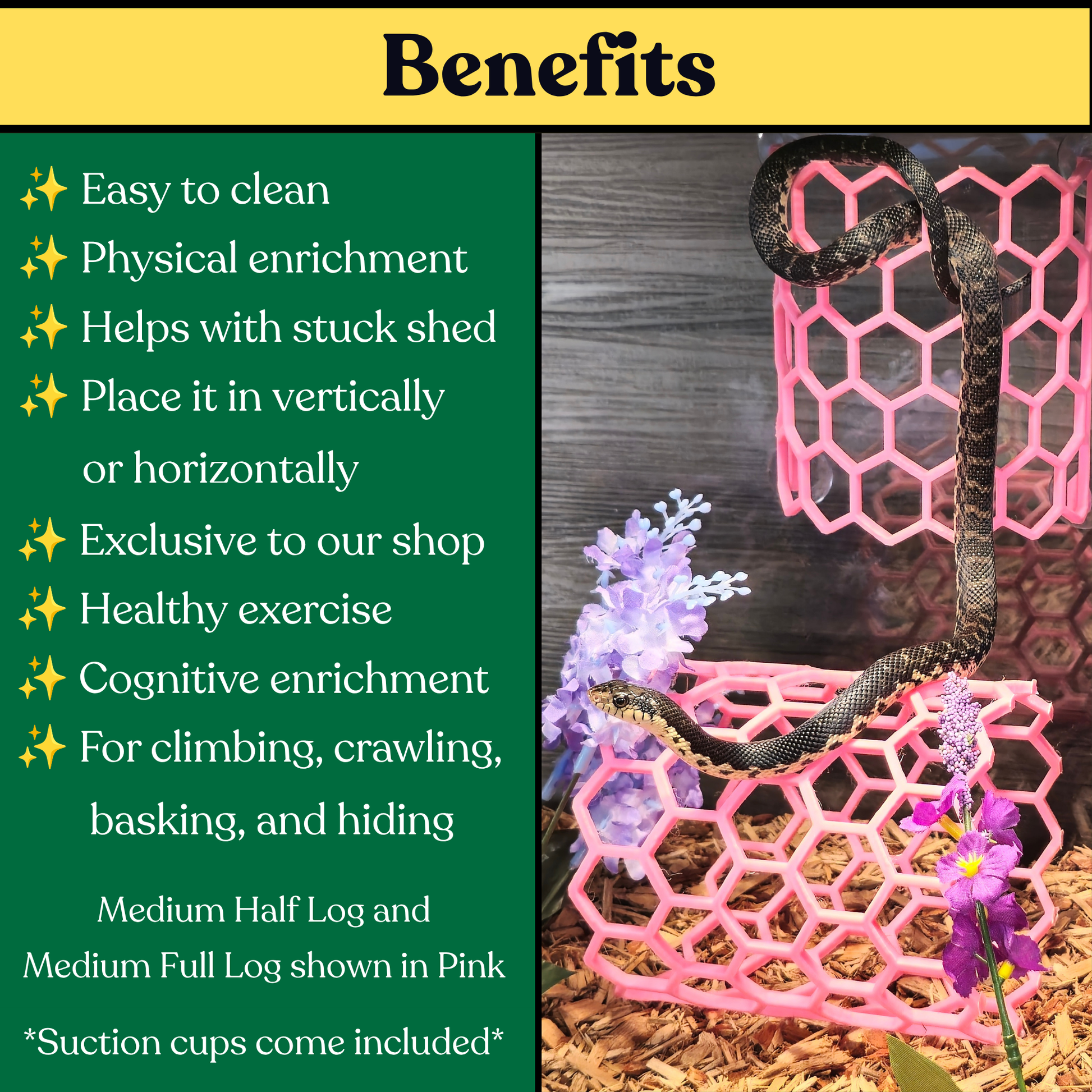 Benefits of Full Hex Log reptile enrichment