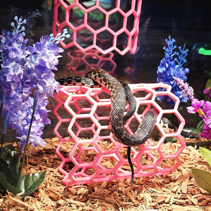 Snake climbing on a Full Hex Log reptile enrichment accessory