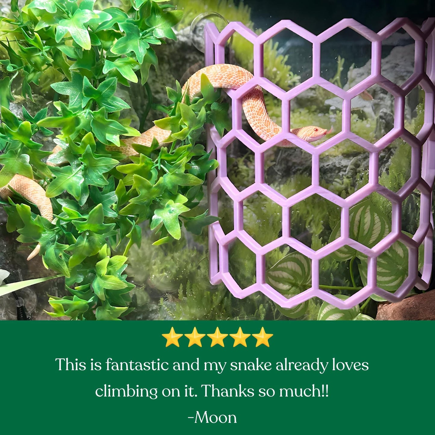 Customer review featuring a lavender Full Hex Log