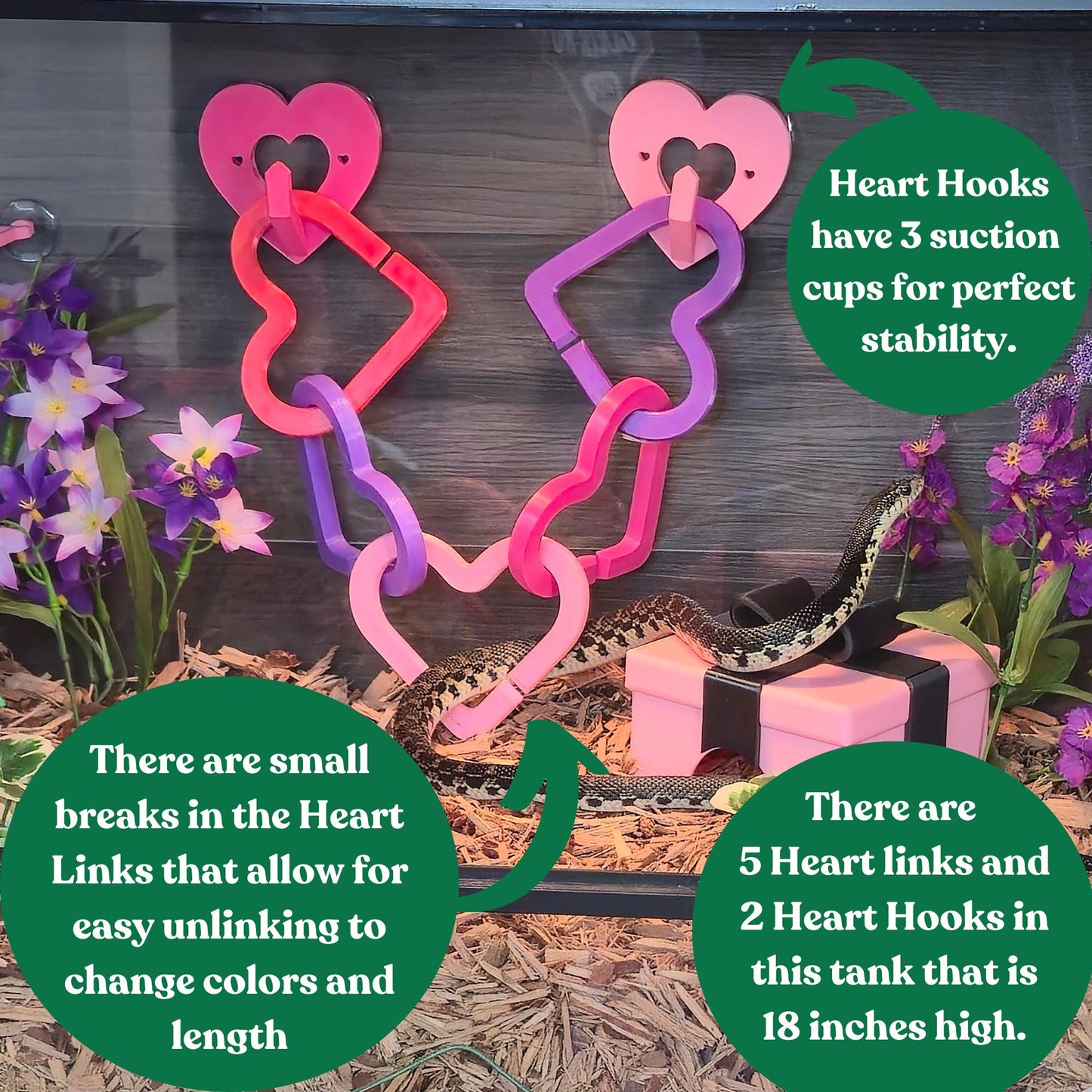 Heart Links reptile climbing enrichment product image