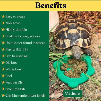 Turtle Dish