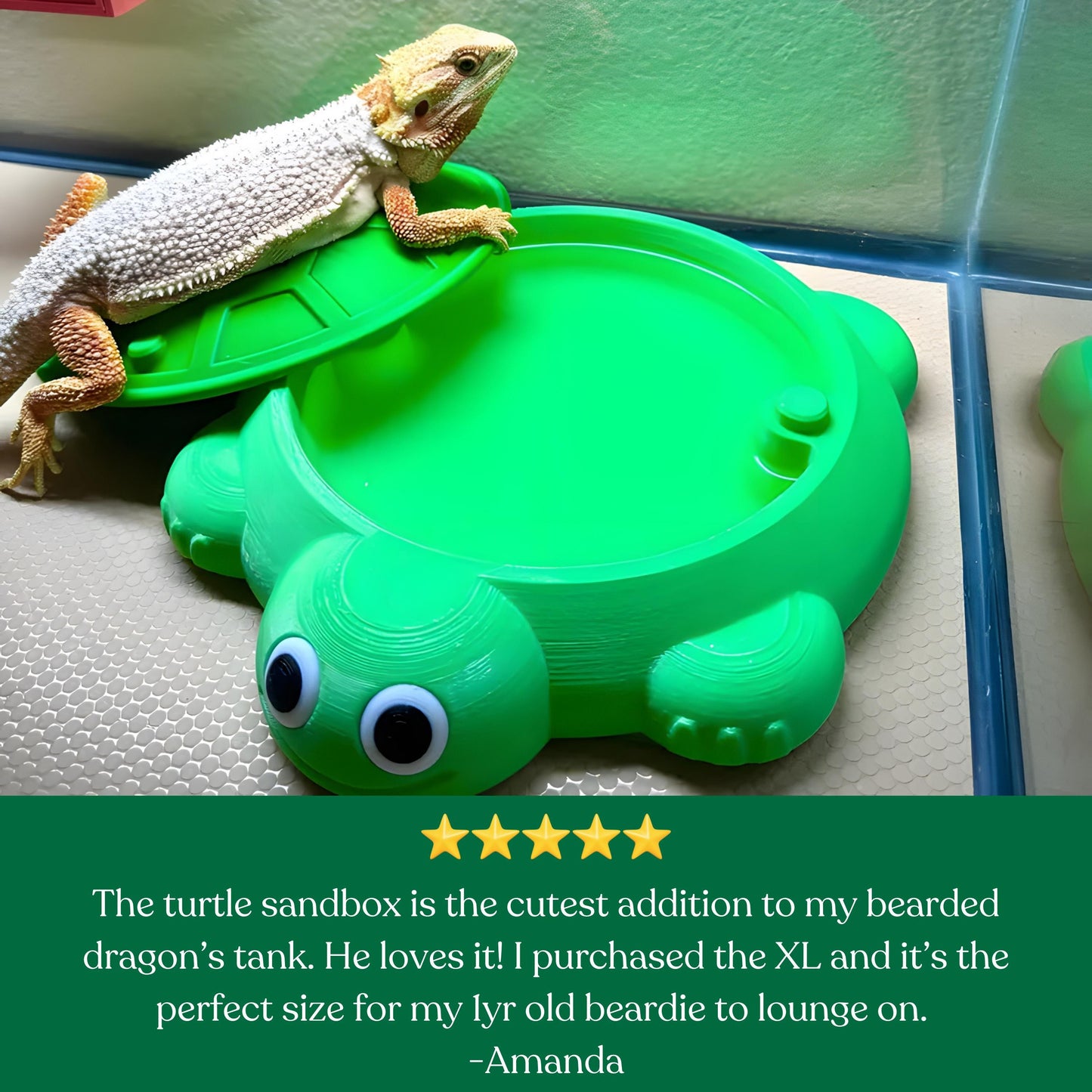 Turtle Dish