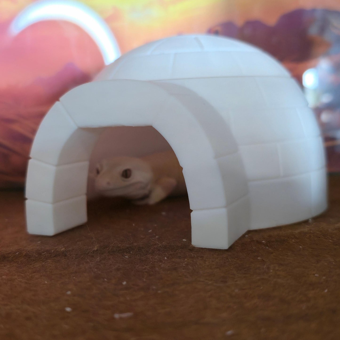 Igloo Hide