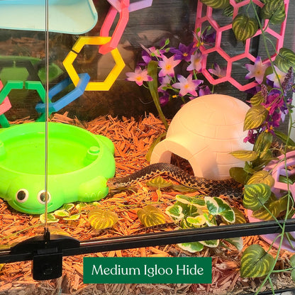 Igloo Hide