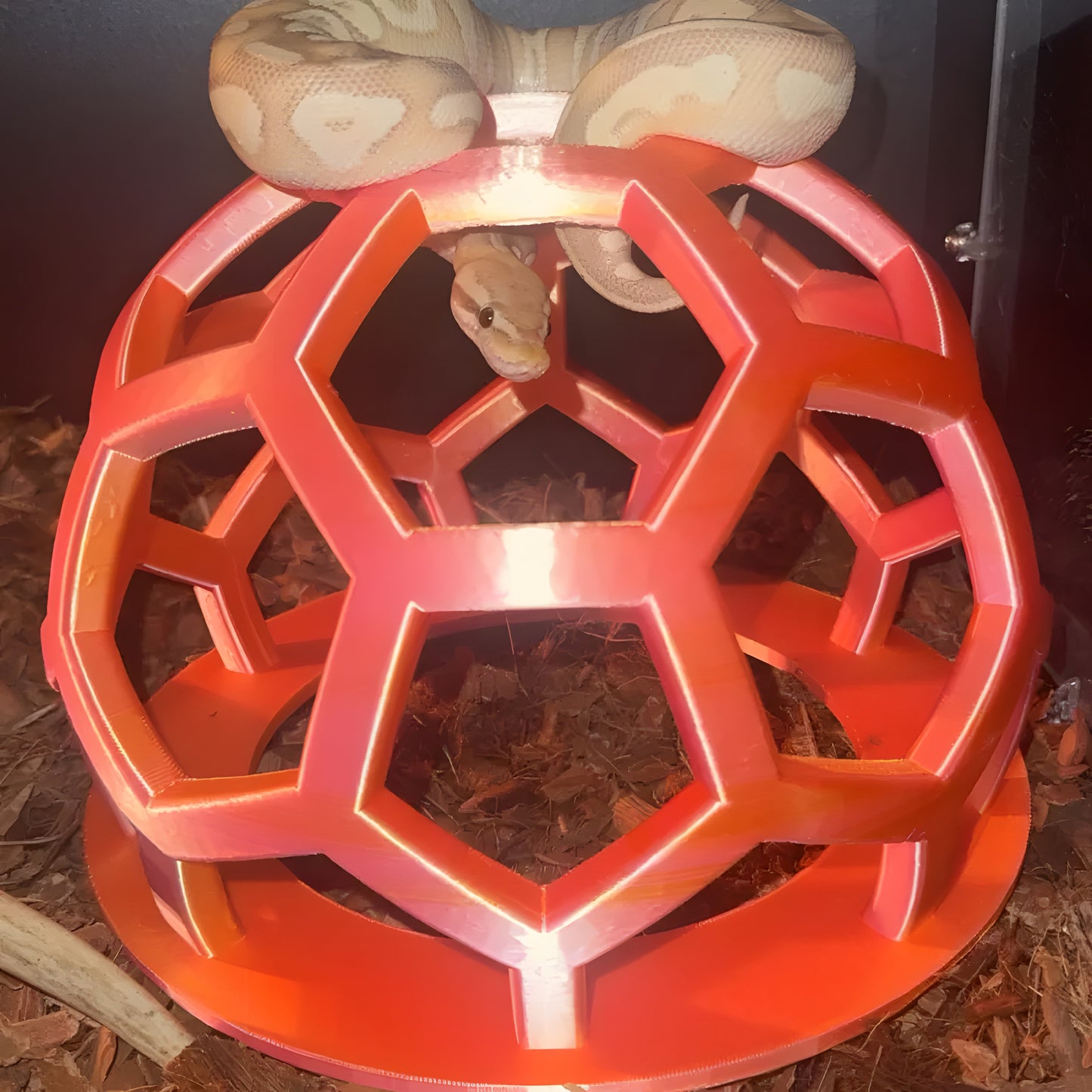 Rainbow Hex Jungle Gym