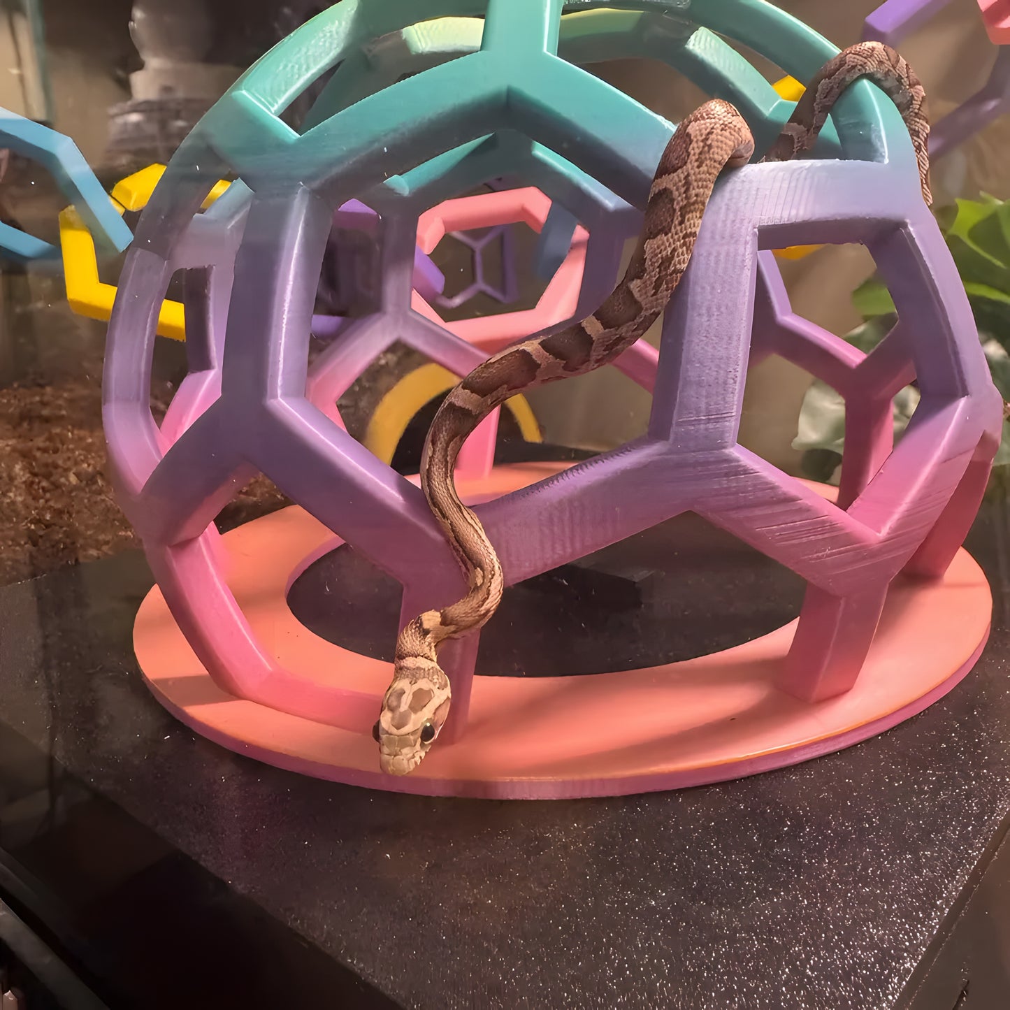 Rainbow Hex Jungle Gym
