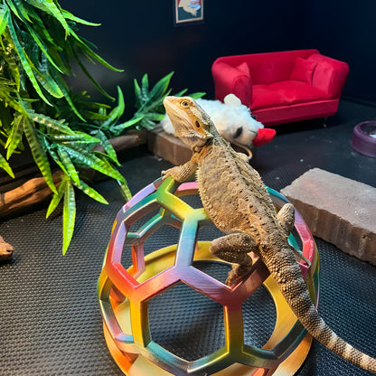 Rainbow Hex Jungle Gym