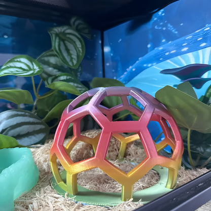 Rainbow Hex Jungle Gym