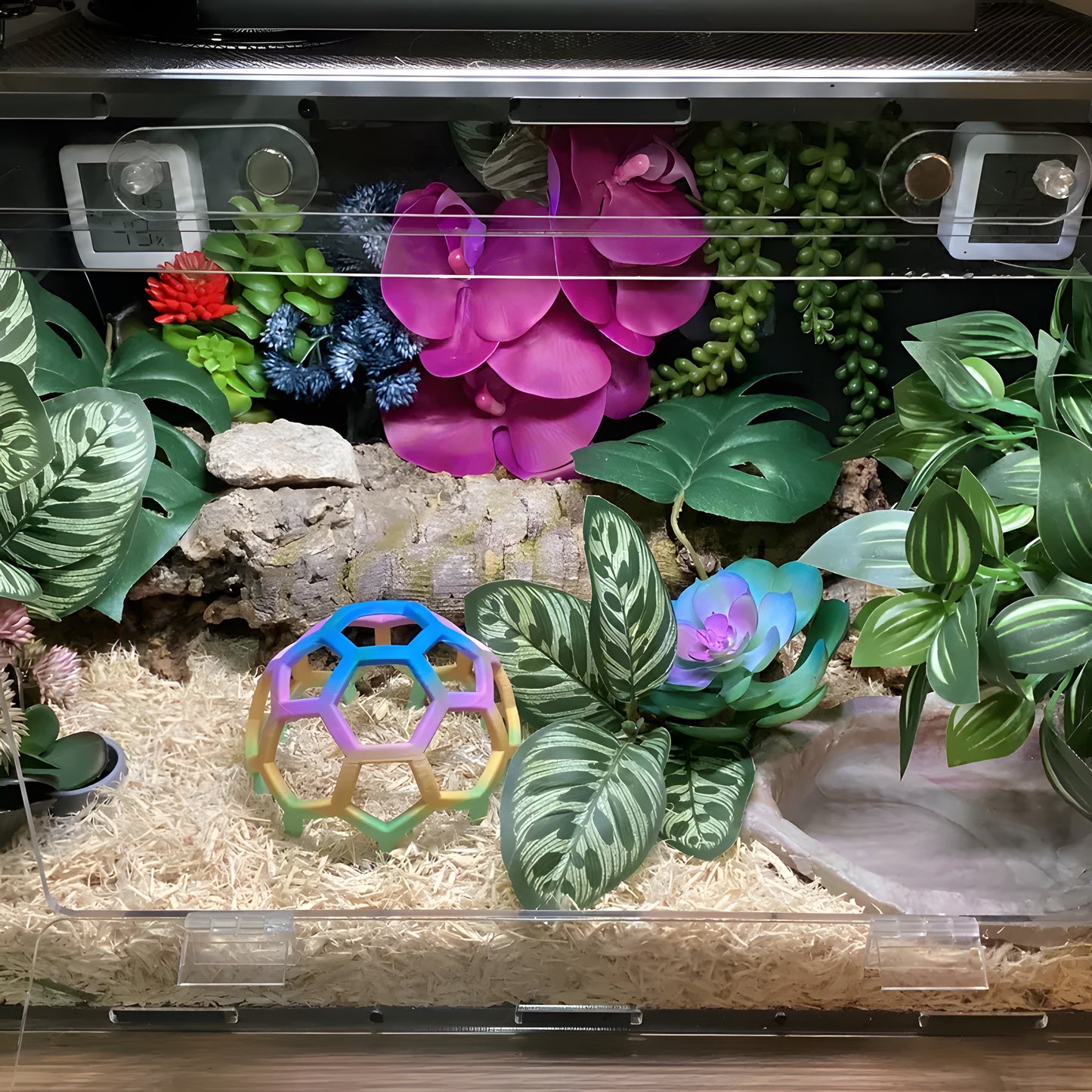 Rainbow Hex Jungle Gym
