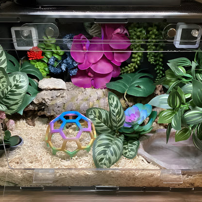 Rainbow Hex Jungle Gym