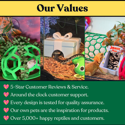 Star Links climbing enrichment for snakes